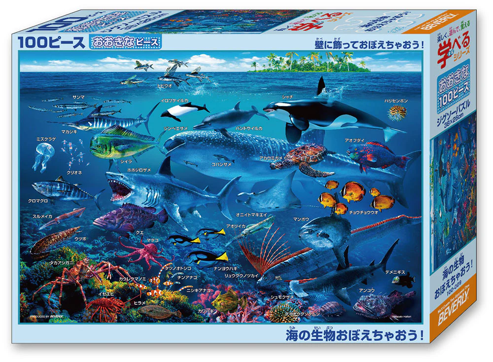 海の生物おぼえちゃおう！ - Image 4