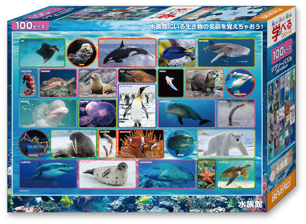 水族館 - Image 3