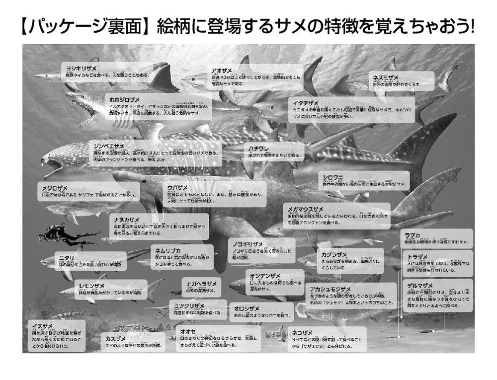 世界のサメ大きさ比べ - Image 3
