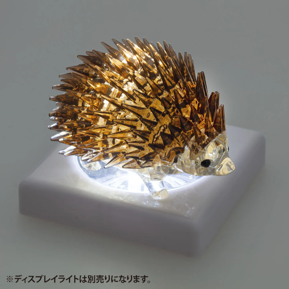 ハリネズミ - Image 6