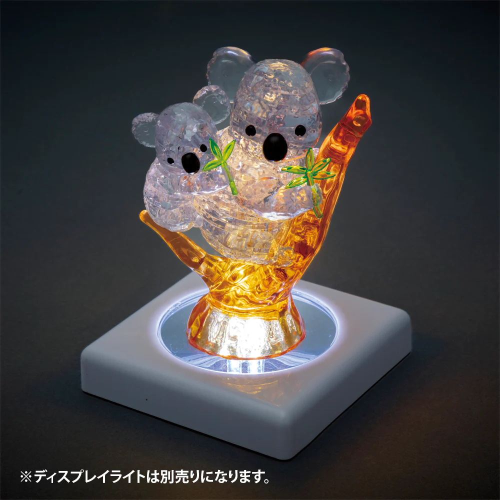 コアラ - Image 5