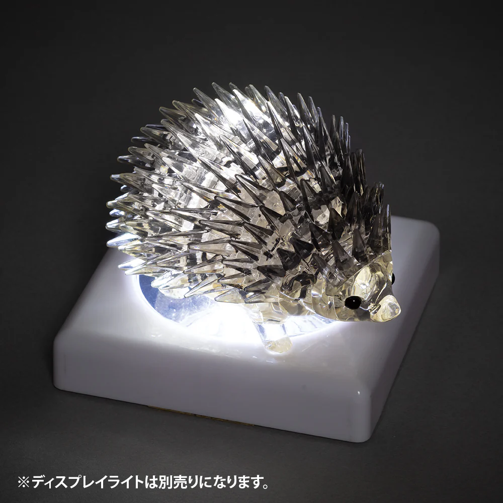 ハリネズミ・グレー - Image 8