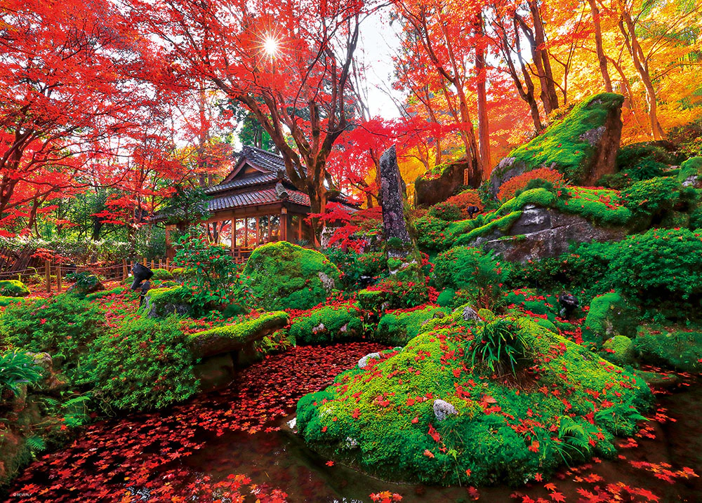 紅葉の教林坊