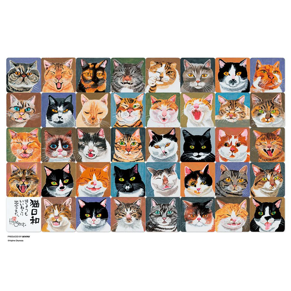猫日和