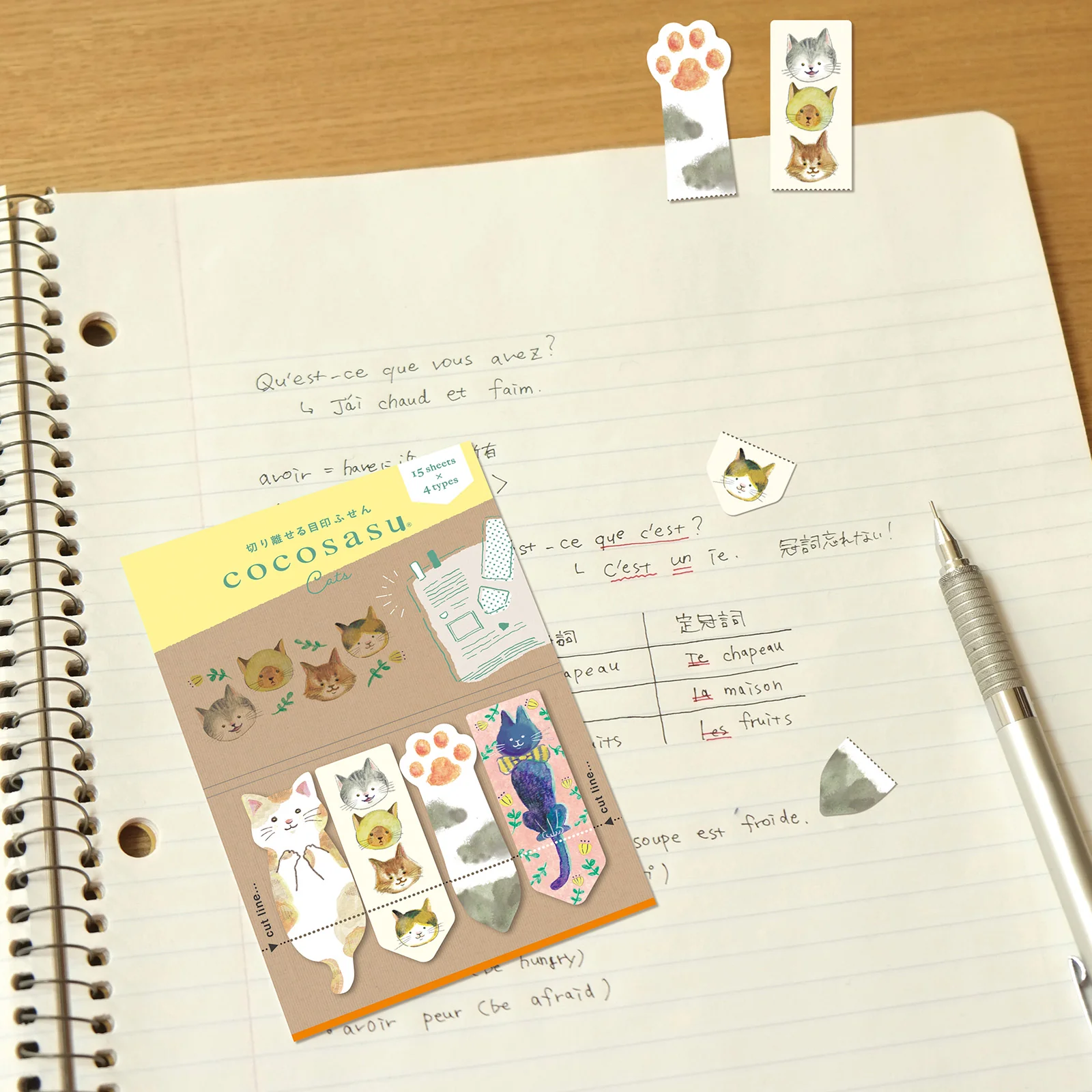 ココサス ねこ - Image 2