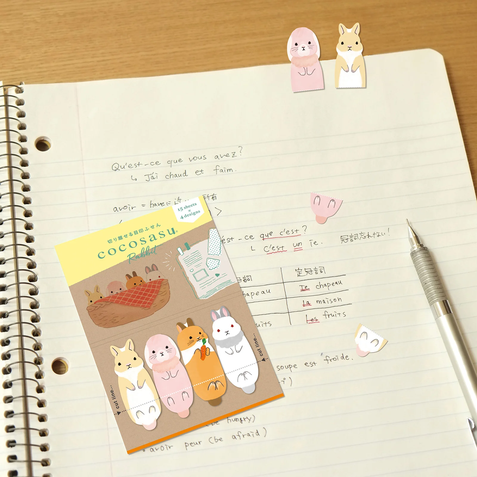 ココサス うさぎ - Image 2