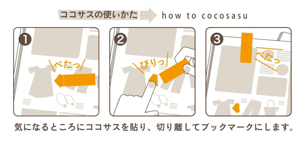 ココサス ハリネズミ - Image 2